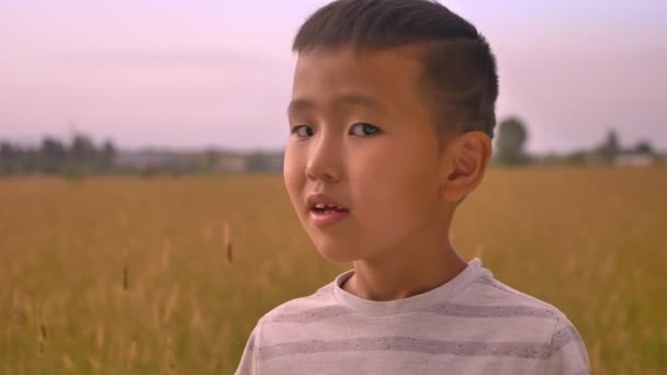 Retrato de asiático sonriendo lindo chico en amarillo campo — Vídeo de stock