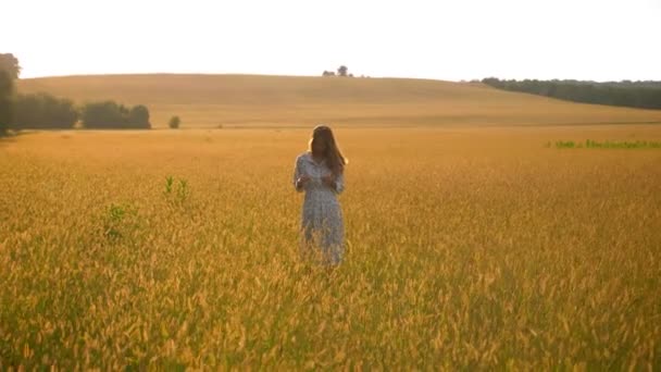 Gorgeous asian woman standing in yellow grass on what field and enjoying nature — Stock Video