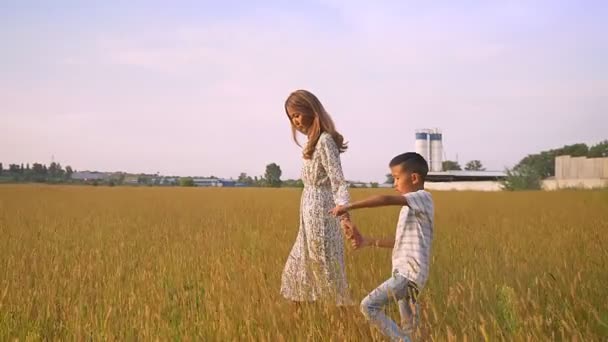 Härlig asiatisk familj, mor och små son promenader varje steg tillsammans och hålla händerna på vetefält — Stockvideo