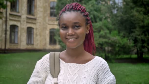 Jonge mooie vrouwelijke student met roze dreadlocks glimlachend op camera en permanent in park in de buurt van Universiteit, gelukkig anf vrolijk — Stockvideo