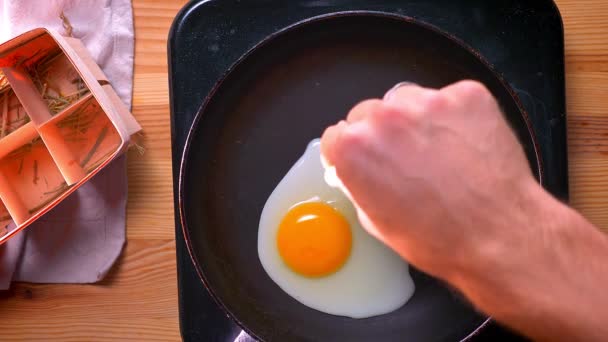 Top shot, además sal a un huevo sabroso para el desayuno saludable perfecto, interior, fondo de madera y mañana soleada — Vídeo de stock