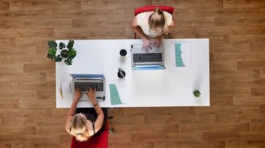 En iyi atış verimli meslektaşları aşağı, iki kız ortak masada oturan ve ahşap zemin üzerinde kapalı onların dizüstü bilgisayarlarda çalışma