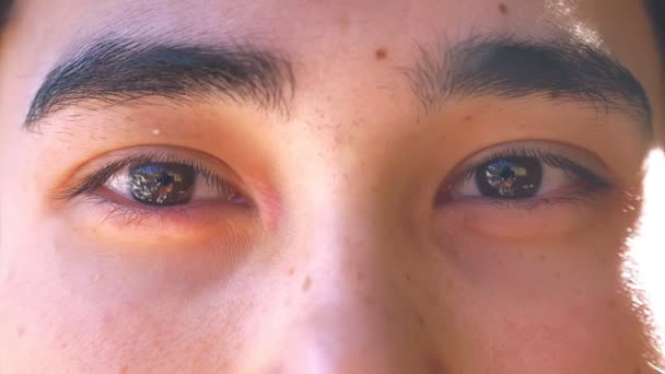 Сфокусированные большие карие глаза азиатского человека, смотрящего прямо в камеру с глубокой концентрацией — стоковое видео
