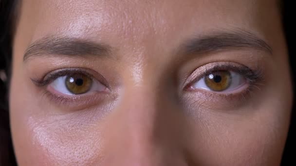 Focused beautiful brown eyes of caucasian woman looking straight, not blinking, concentrated, calmly — Stock Video