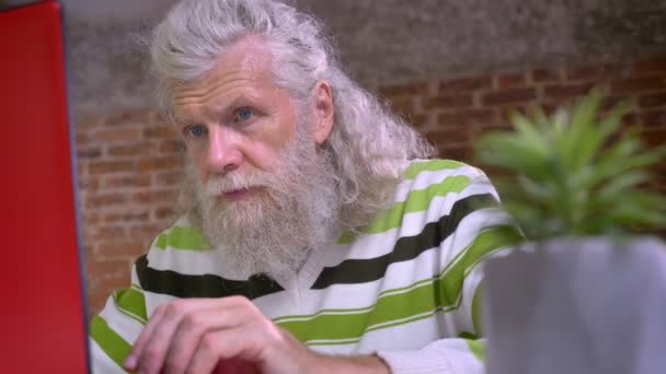 Impresionante hombre mayor con barba blanca y pelo largo vawy está escribiendo en su computadora portátil roja mientras trabaja en su negocio mientras está sentado asolados en la oficina de ladrillo — Vídeo de stock