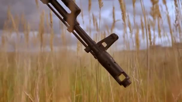 Gericht, close-up shot gat van automatische geweer op hoog gras en donkere hemel achtergrond, leeg gebied illustratie — Stockvideo