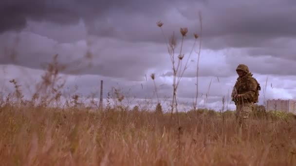 Soldado fuerte resistente sosteniendo arma automática y cruzando el campo de trigo solo en camuflaje, cielo nublado oscuro durante el día, vista auténtica — Vídeo de stock