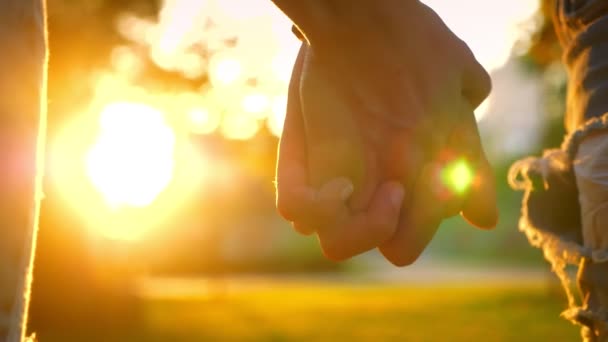 Sunlights háttér a felvételeket a kezei egymáshoz, szép pár áll a parkban — Stock videók