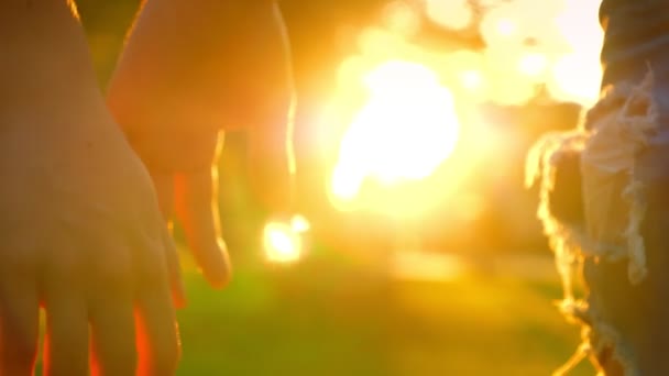 Mains de couple amoureux en plein air dans la vue sur le parc, des rayons de soleil les entourent, belle touche, être ensemble — Video