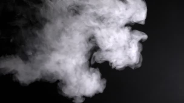 Close-up spreading in the air white smoke on black covering in motion all black background and beautifully filling dark studio — Stock Video