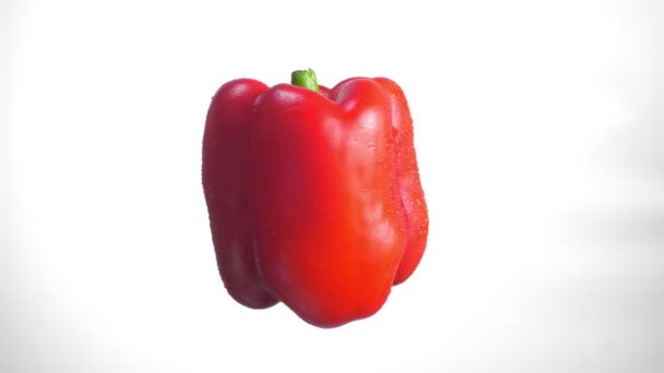 Red bell pepper twisting around fastly on white background — Stock Video