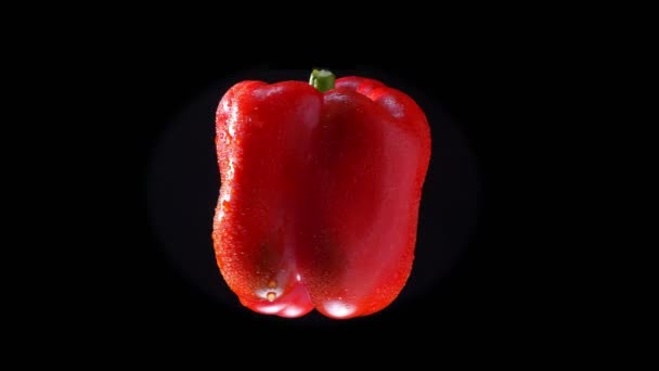 Roter Paprika, der sich schnell auf schwarzem Hintergrund dreht. — Stockvideo