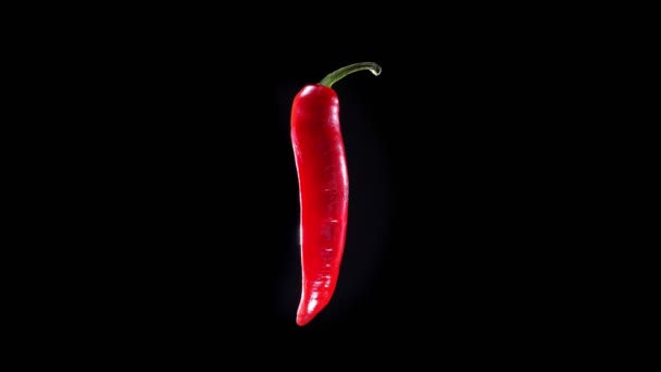 Red chili pepper twisting around slowly on black background — Stock Video