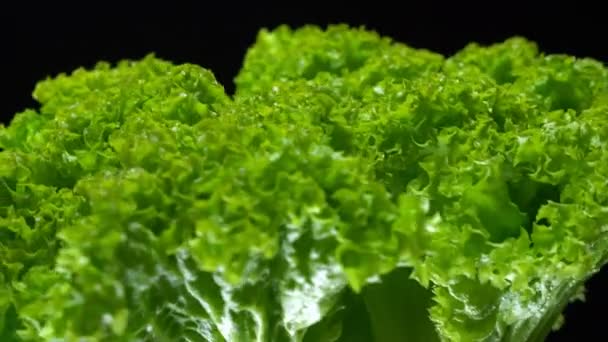 Close-up illustration from the bottom to the top of iceberg lettuce twisting around slowly on black background — Stock Video