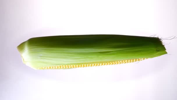 Illustration of horizontally spinning corn on white background. — Stock Video