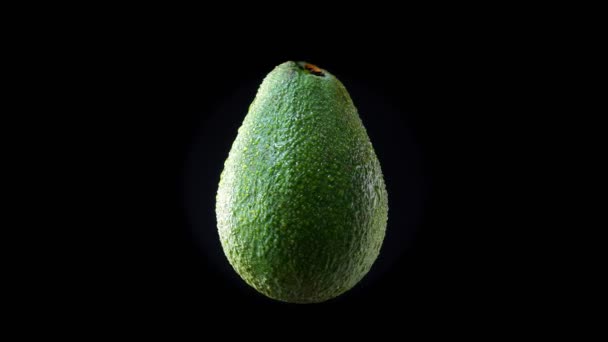 Illustratie van groene avocado langzaam draaien met de klok mee op zwarte achtergrond. — Stockvideo