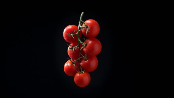 천천히 검은 배경에 반시계 방향으로 회전 하는 빨간 토마토의 무리의 그림. — 비디오