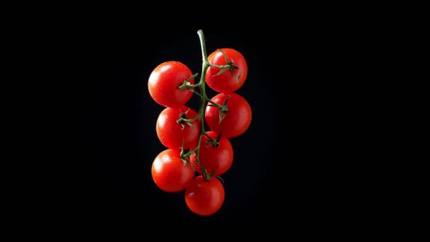 黒い背景に反時計回りに回転するしっかりと赤いトマトの束のイラスト. — ストック動画
