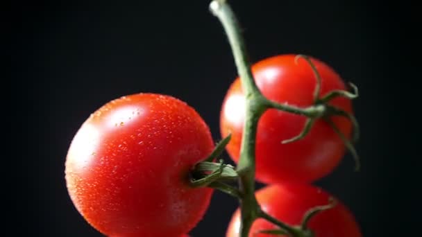 검은 바탕에 시계 반대 방향으로 회전 하는 빨간 토마토의 무리의 상단 부분 클로즈업 그림 — 비디오