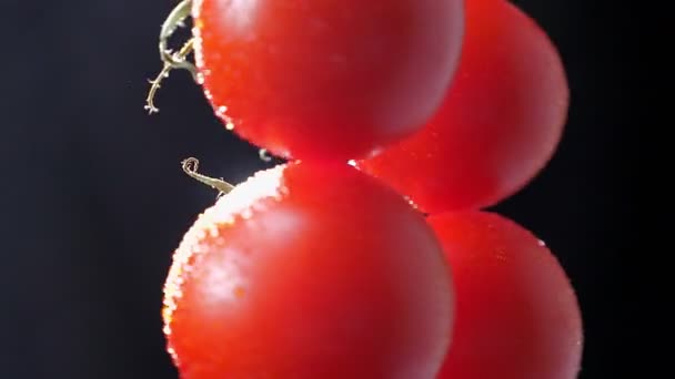 Närbild illustration av centrala delen av gäng röda tomater snurrar långsamt medsols på svart bakgrund. — Stockvideo
