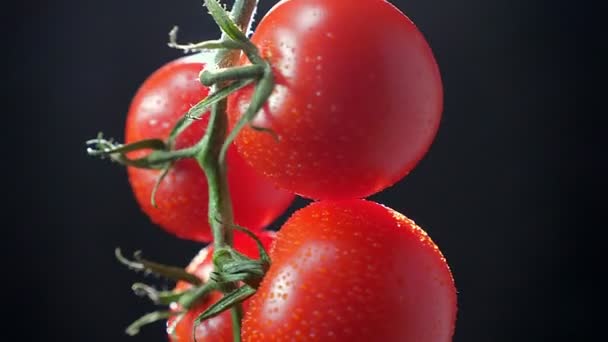 Szczelnie-do góry ilustracja kiść czerwonych pomidorów powoli spinning od góry do dołu w prawo na czarnym tle. — Wideo stockowe