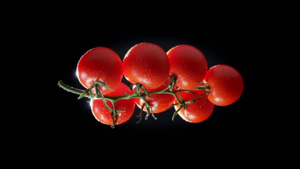 Ilustración Racimo Tomates Rojos Girando Rápidamente Horizontalmente Sobre Fondo Negro — Vídeos de Stock