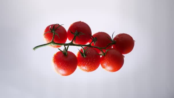 Illustration de bouquet de tomates rouges tournant rapidement horizontalement sur fond blanc . — Video