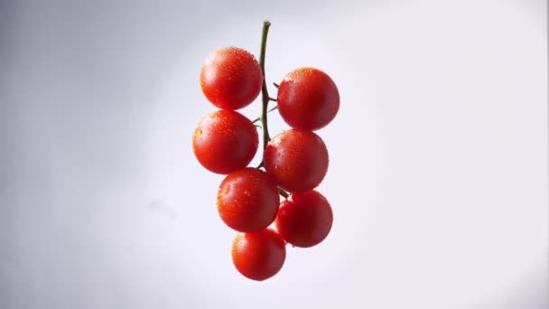 Illustrazione del mazzo di pomodori rossi che ruotano velocemente in senso antiorario su sfondo bianco . — Video Stock