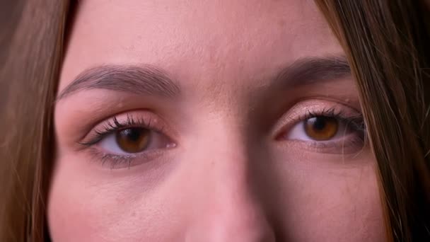 Primer plano retrato de ojos de mujer mirando directamente a la cámara expresando calma — Vídeo de stock