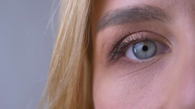 Yakın çekim yarım kadının portresi sağ mavi göz kamera gri arka plan üzerinde doğrudan izlerken.