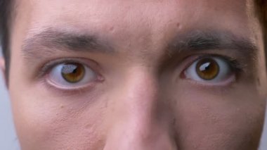 Closeup beyaz erkek kahverengi gözleri doğrudan kameraya tarafsız yüz ifadesi ile seyir