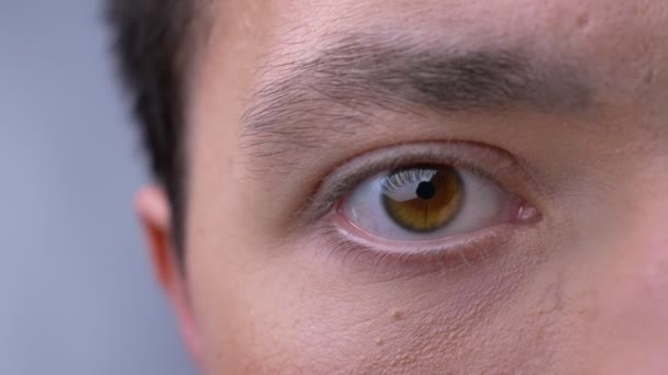 Closeup of brown eye of caucasian brunette man looking straight at the camera — Stock Video