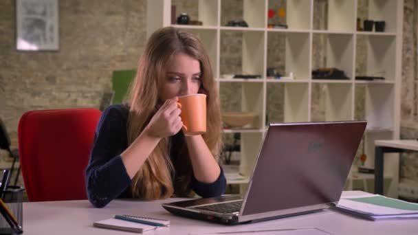 Portret van vrij mooie Kaukasische zakenvrouw verrukkelijk kijken op het scherm van de laptop en drinken koffie in office. — Stockvideo