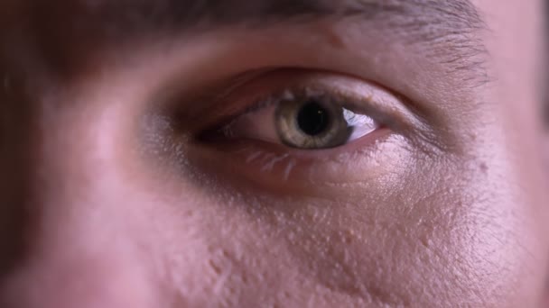 Closeup of beautiful caucasian male gray eye looking straight at camera — Stock Video