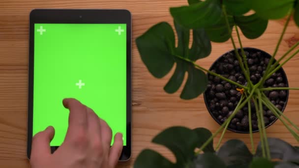 直立したタブレットと木製の机と植物の背景に緑色の画面に触れる手のクローズ アップ トップ ショット. — ストック動画