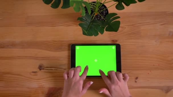 Tiro superior das mãos da mulher digitando na tela verde do tablet horizontal na mesa de madeira e fundo da planta . — Vídeo de Stock