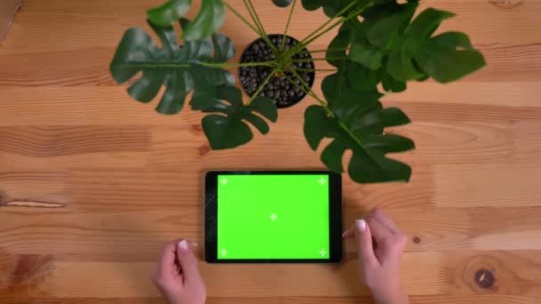 Top shot nő s kezét gépelés a törött zöld képernyő vízszintes tabletta fából készült asztal és a háttér növény. — Stock videók