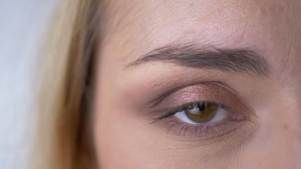 Close-up um olho-retrato de jovem loira caucasiana mulher assistindo sério e diretamente na câmera em fundo cinza . — Vídeo de Stock