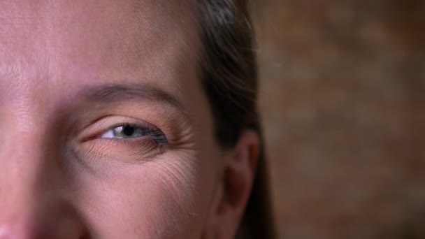 Closeup half-face portrait of beautiful adult female gray eye looking straight at camera. Smiling facial expression — Stock Video