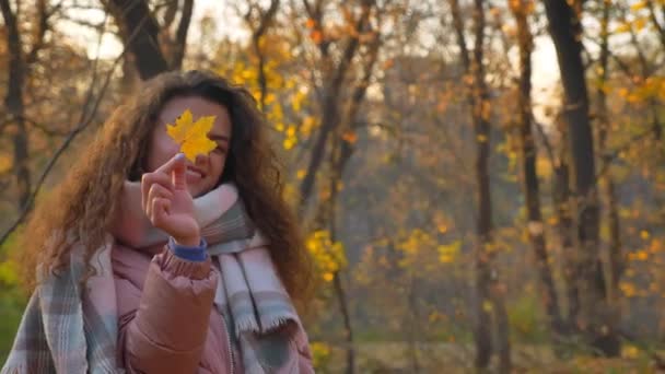 Sarı yaprak incelenmesi ve güneşli sonbahar parkta atma Genç beyaz kıvırcık saçlı kadın portresi. — Stok video