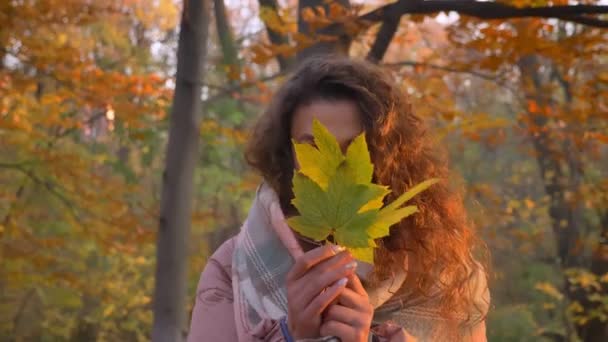 Portrét mladé ženy kavkazské kudrnaté vlasy schovává za žluté listy a házet je pryč v slunné podzimní park. — Stock video