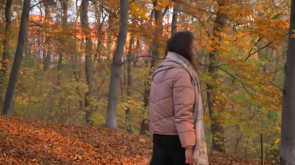 Portrait of young caucasian curly-haired woman walking in sunny autumnal park and touching trees. — Stock Video