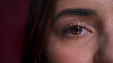 Güzel beyaz kahverengi göz doğruca kameraya bakarak closeup yarı-yüz portresi