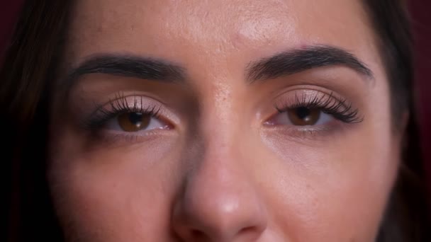 Gros plan portrait de belles femmes caucasiennes yeux bruns regardant directement la caméra avec une expression faciale neutre — Video