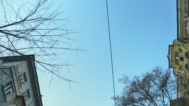 多利从城市建筑底部拍摄, 蓝天用相机慢慢移动. — 图库视频影像