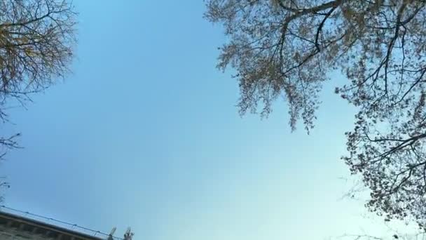 多利下了城市建筑和秋树的顶级镜头, 用相机慢慢移动. — 图库视频影像