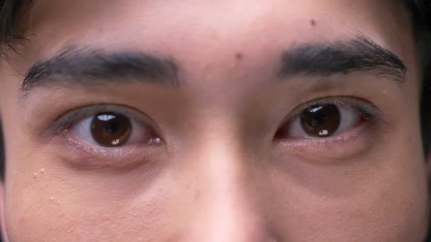 Closeup portrait of young attractive asian male eyes looking straight at camera — Stock Video