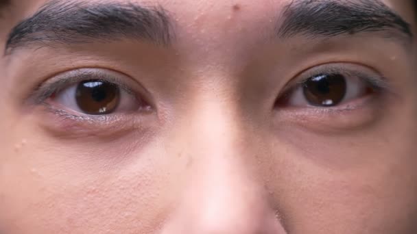 Gros plan portrait de jeunes yeux masculins coréens attrayants regardant la caméra avec une expression faciale souriante — Video