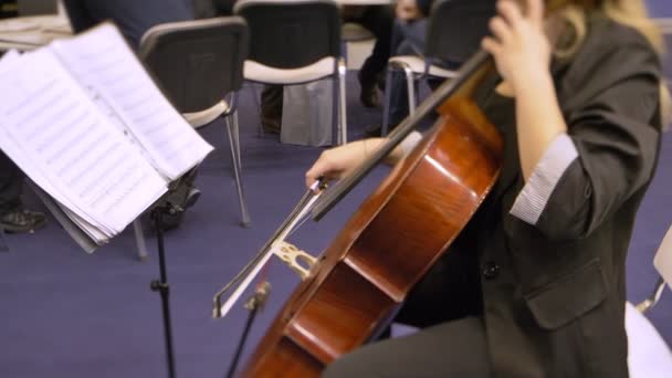 Rückansicht einer Frau, die Geige spielt und in Noten schaut. — Stockvideo