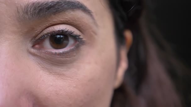 Portret Pół Twarzy Zbliżenie Młoda Atrakcyjna Kobieta Kaukaski Brązowy Okiem — Wideo stockowe